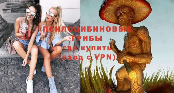 прущий лед Бородино