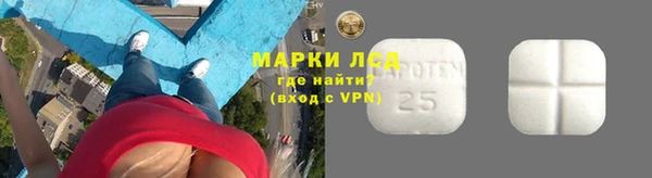 прущий лед Бородино