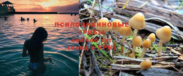дживик Бугульма