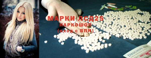 прущий лед Бородино