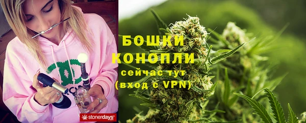 прущий лед Бородино
