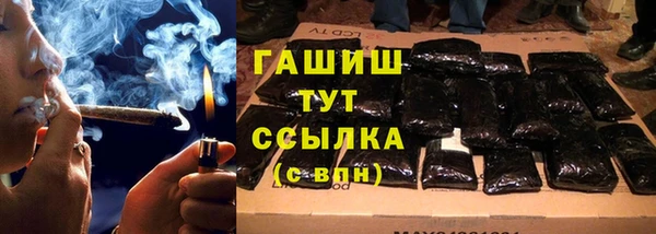 прущий лед Бородино