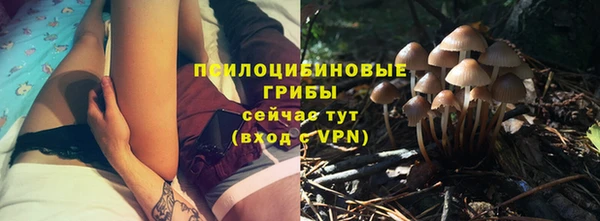 мдпв Бронницы
