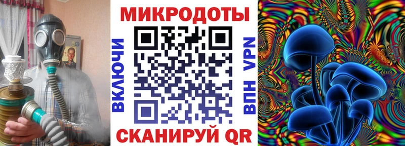 Галлюциногенные грибы Psilocybe  Наволоки 